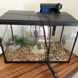 5 Gallon Tank 