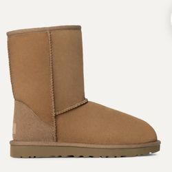 Classic Short || UGG Size 7