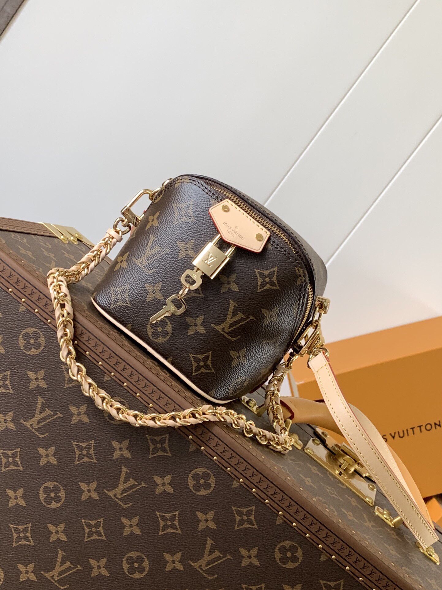 Louis Vuitton Bag