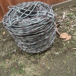 Barbed Wire 