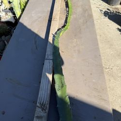 “ PINK PANTHER “ Dragon fruit cutting $20 #PPDFC