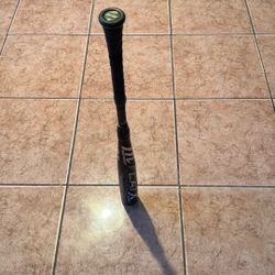Baseball Bat 32