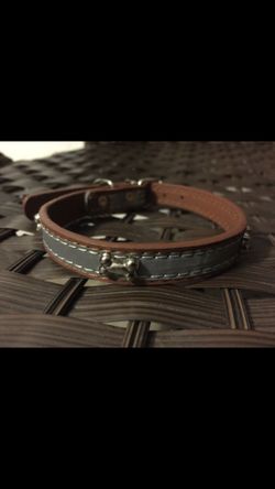 Small Dog Collar