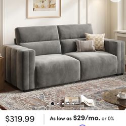 Two Wayfair Couches 