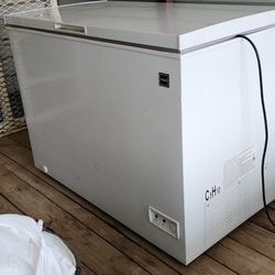 10.6 Cubic Ft Freezer 