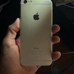 iPhone 6+
