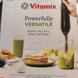 Vitamix 2-Speed Immersion Blender + Whisk Attachment