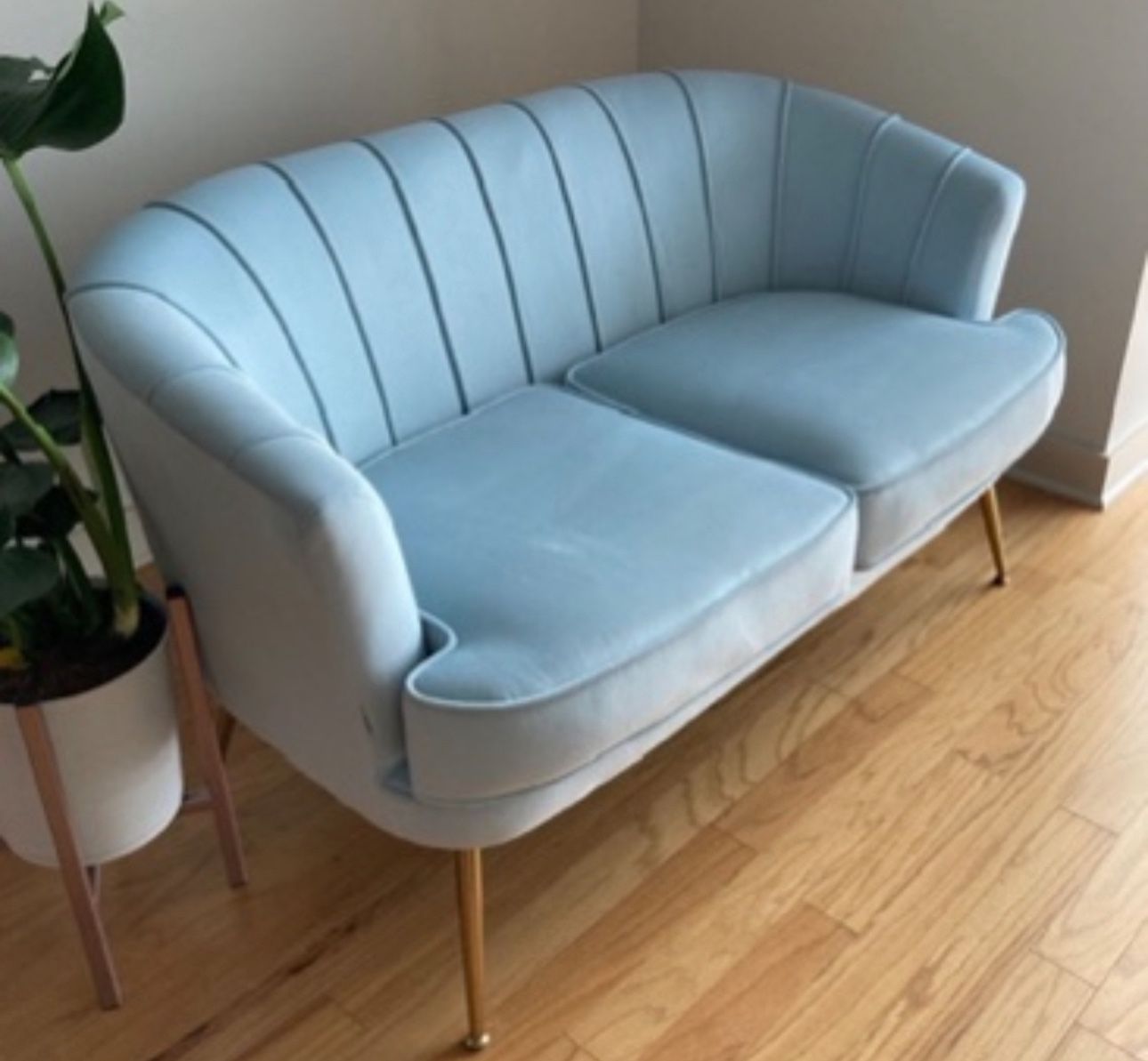 Blue Velvet couch