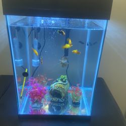 10 Gallon Tall Fish Tank 