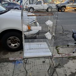 Parrot Cage 