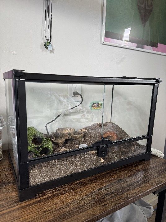 Leopard gecko lizard tank!