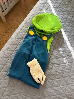 Luigi costume
