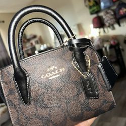 Coach Andrea Mini Carryall In Signature Canvas 