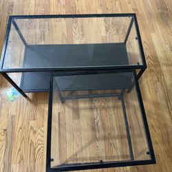 Glass Coffee Table and End Table