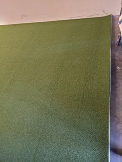 Interior Turf / Artificial Grass Carpet