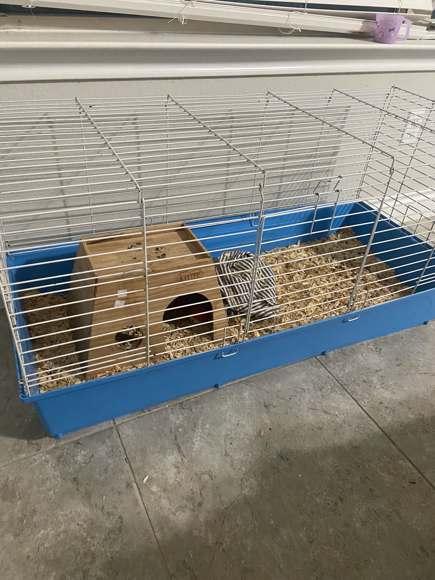 Cage Rabbit Hedgehog