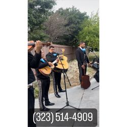 Mariachi