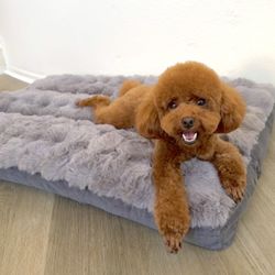 Good quality pet bed ! Brand New！Big Size！41”x31”!Very comfortable！