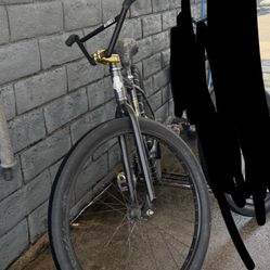 Throne Bike 