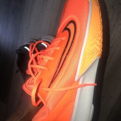 All For Sale !