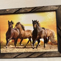 Hermosos Cuadros De Caballos✨✨