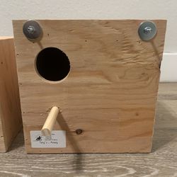 concept parakeet nest box (right side)