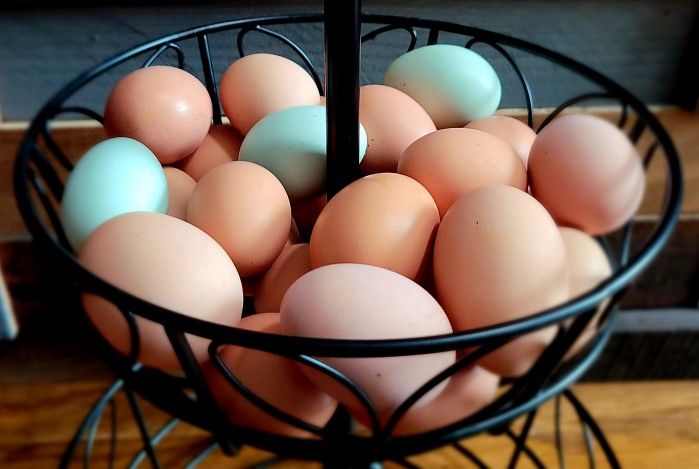Farm Fresh Eggs- Free Range