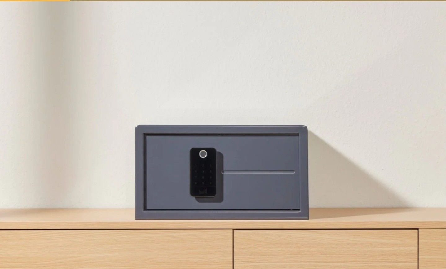 Matching Biometric Safes