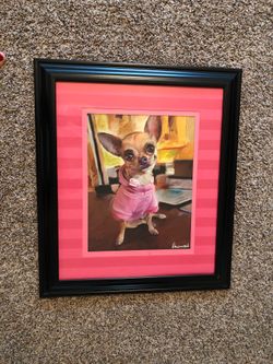 Chihuahua picture dog