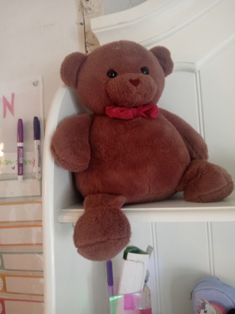 Weighted Teddy Bear