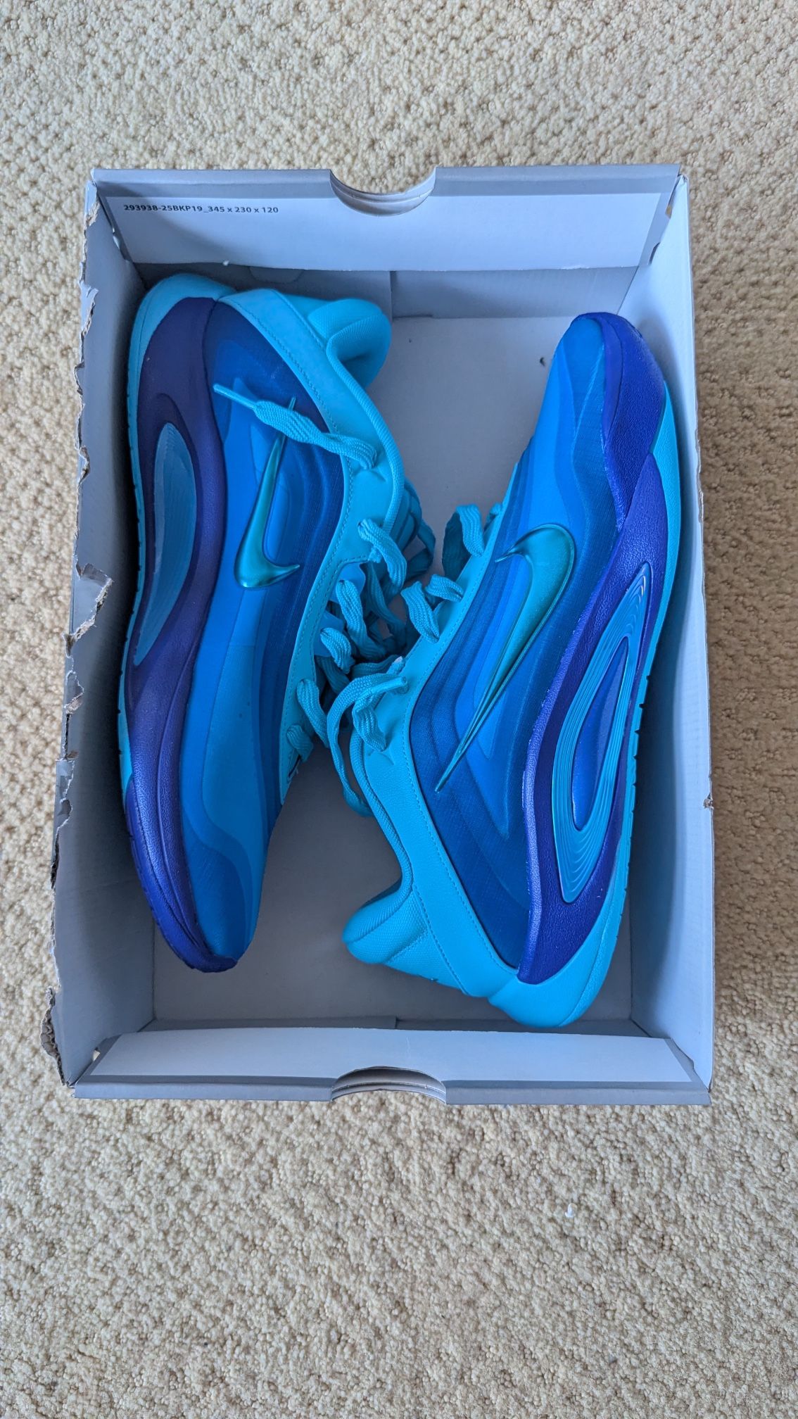 Aja Wilson Shoes Blue