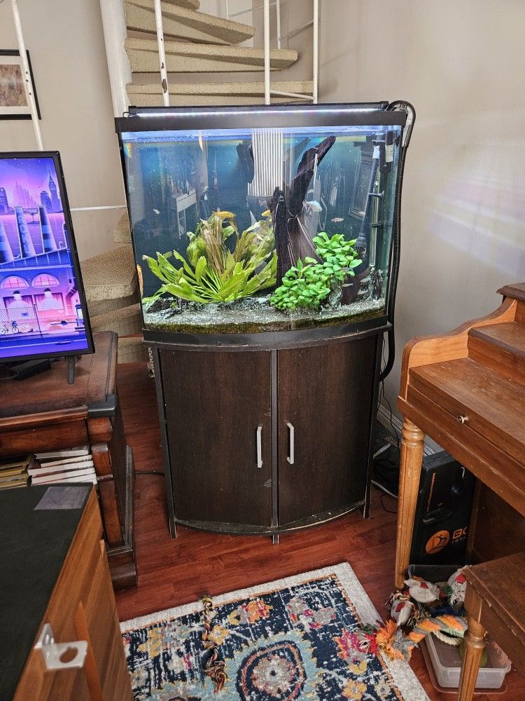 36 Gallon Bow Front Aquarium 
