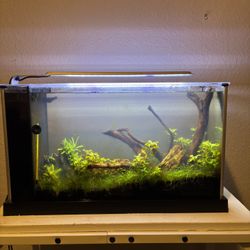 Fishtank Fluval Space 5 Gallons Freshwater 