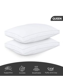 1 pack of new&nice pillow