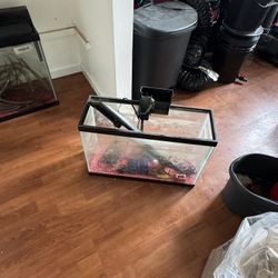 Two Fish Tanks 