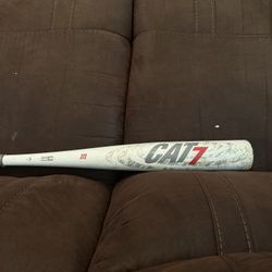 Baseball Bat