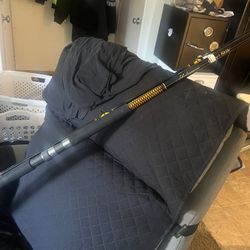 Sturgeon Rod