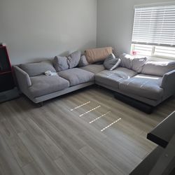1 Year Old Couch 