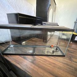 Fish Tank 