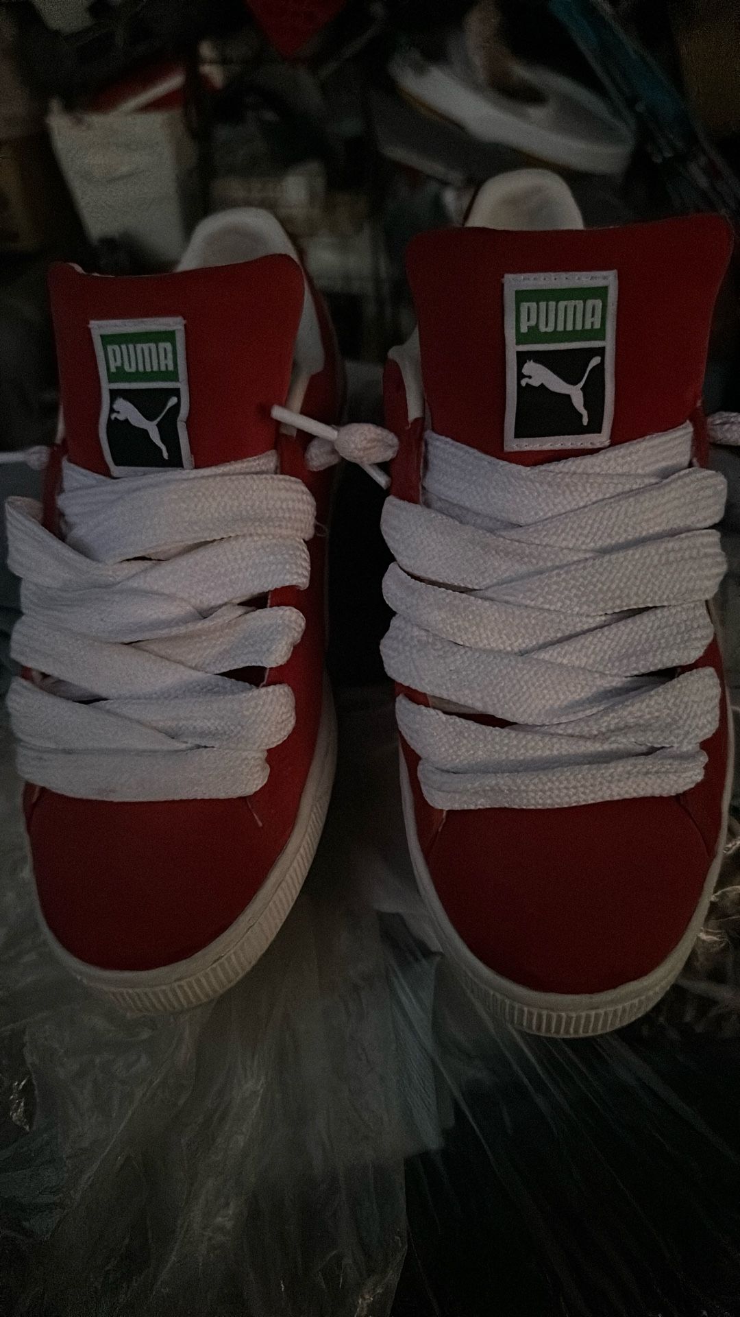 Pumas 