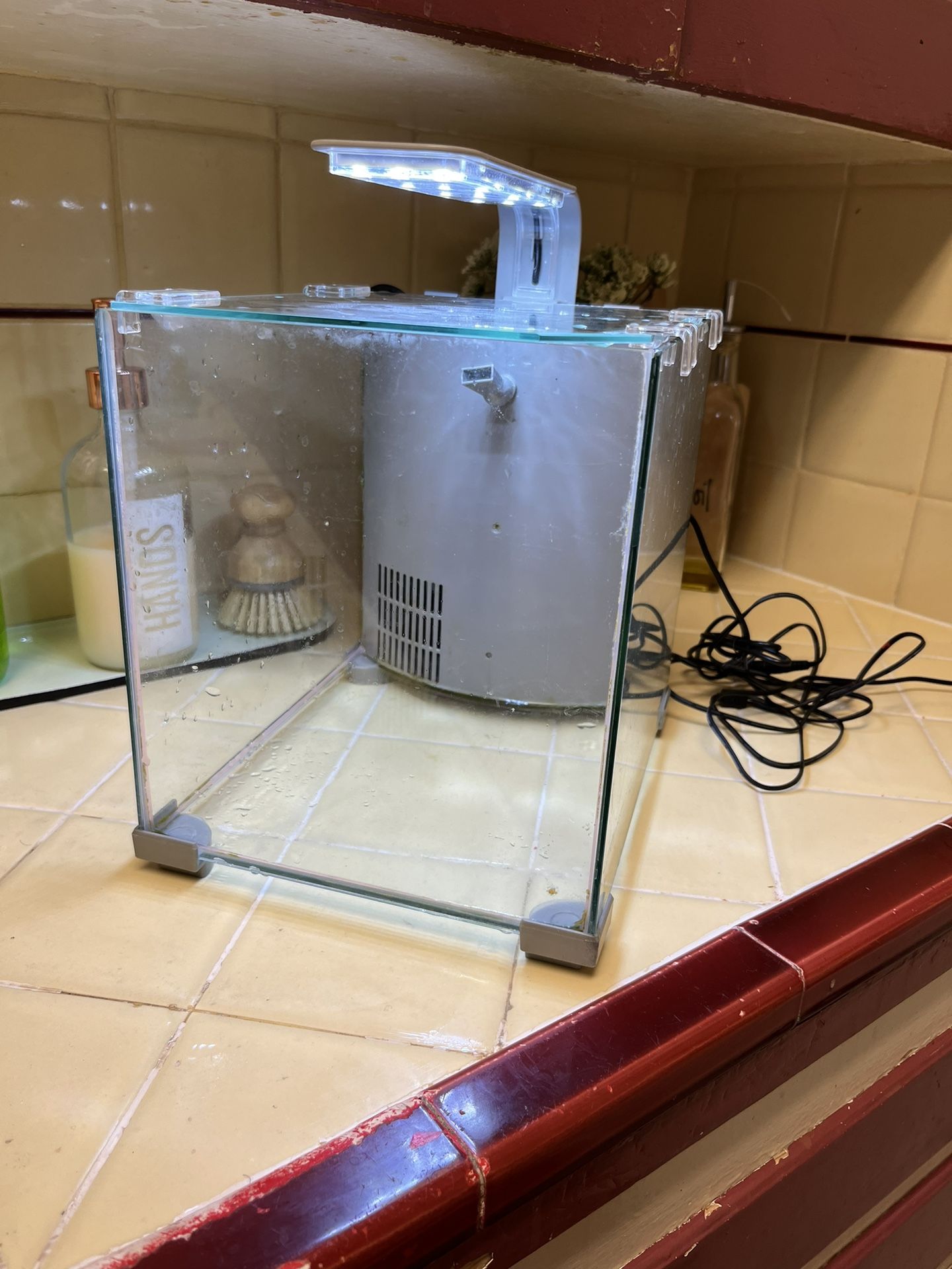 Little Fish Tank Aquarium 