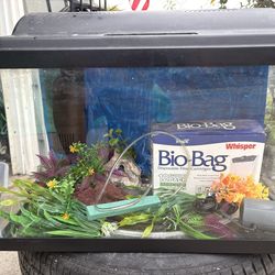 Fish  Aquarium  10 gallon