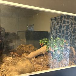 PVC 4x2x2 Snake Enclosure