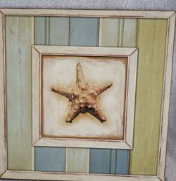 Shell Pictures Set Of 2