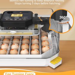 Bird Incubator 
