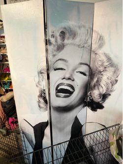 black and white marilyn monroe room divider closet panel