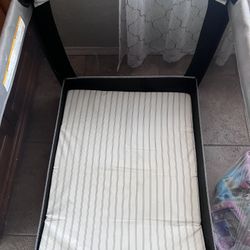 Graco Pack N Play 