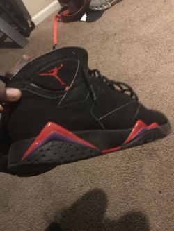 Raptors 7