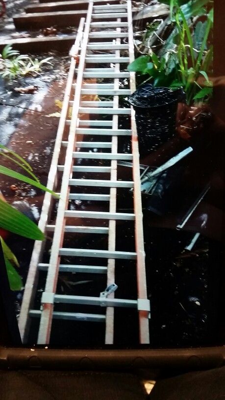 Ladder 15 Foot