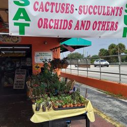 6/19/21 This Weekend At Jason's Local Garden Located In New River Grove In Davie. $4 Each Or 3for $10,$6 Each Or 3for $15 And Large Plants $10 And Up